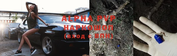 дурь Магас