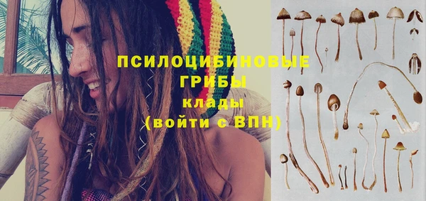 дурь Магас
