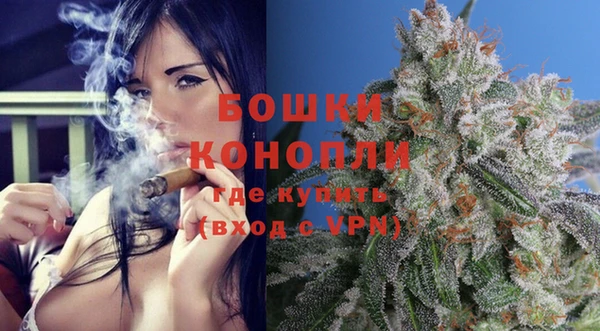 дурь Магас