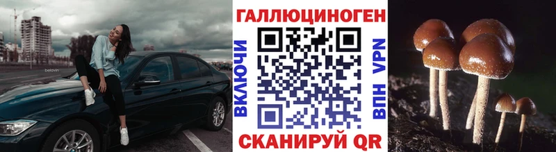 Псилоцибиновые грибы Magic Shrooms Тимашёвск